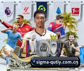 sigma-qutiy.com.cn APP(QUTIYU)
